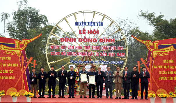 Hai[-]cây[-]cổ[-]thụ[-]đầu[-]tiên[-]vùng[-]Đông[-]Bắc[-]Quảng[-]Ninh[-]được[-]vinh[-]danh[-]Cây[-]Di[-]sản[-]Việt[-]Nam